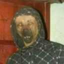Juruboi